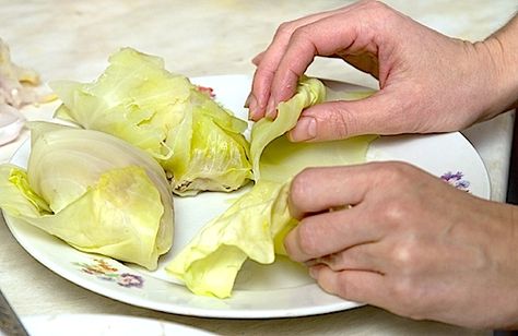 How to cook cabbage easily How To Cook Cabbage, The Cabbage Soup Diet, Cook Cabbage, Panlasang Pinoy Recipe, Nutritious Vegetables, Cabbage Soup Diet, Pinoy Recipes, Cooked Cabbage, Filipino Foods