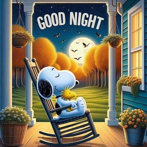 Snoopy Evening, Night Hug, Peanuts Fall, Night Humor, Goodnight Baby, Happy Snoopy, Goodnight Snoopy, Good Night Hug, Evening Blessings