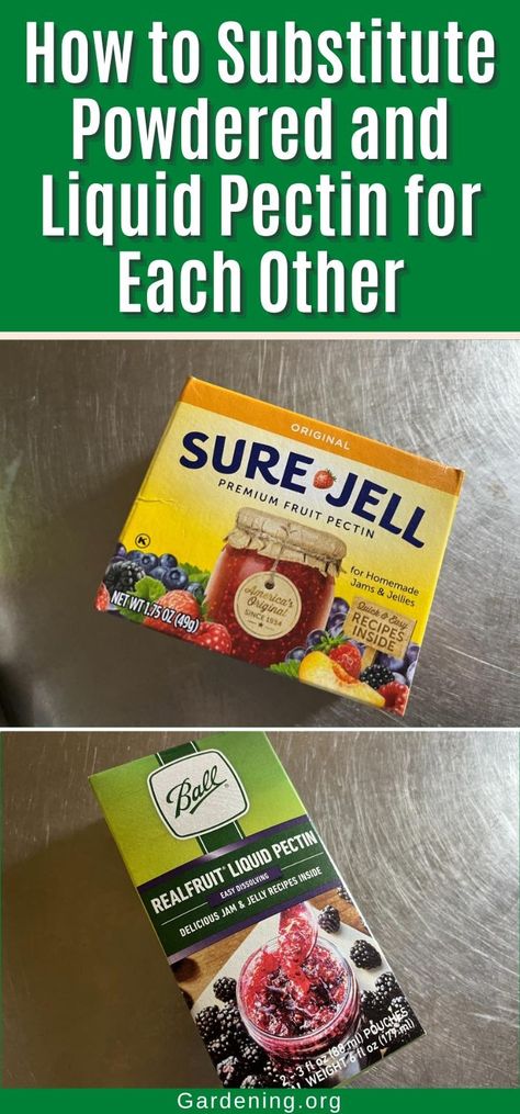 How to Substitute Powdered and Liquid Pectin for Each Other Liquid Pectin Vs Powder, Jam And Jelly, How To Make Jam, Jams And Jellies, Pumpkin Pie Filling, Jelly Recipes, Homemade Jam, Jams & Jellies, Jam Recipes