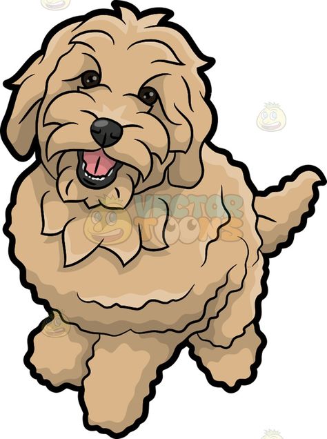 Goldendoodle Drawing Easy, Labradoodle Painting Easy, Curly Dog Drawing, Golden Doodle Coloring Pages, Labradoodle Drawing Simple, Golden Doodle Drawing Easy, Golden Doodle Painting Easy, Golden Doodle Sketch, How To Draw A Golden Doodle