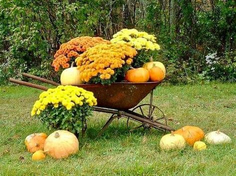 Wheelbarrow Decor, Outside Fall Decorations, Faith Lessons, Flower Carts, Fall Yard Decor, Fall Landscaping, Wheelbarrow Planter, Fall Yard, Fall Container Gardens