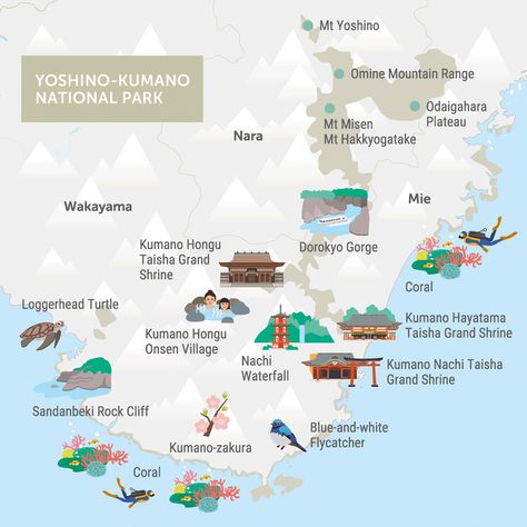 NATIONAL PARK - The Official Wakayama Travel Guide Wakayama Japan, Enjoy Your Trip, Aeolian Islands, Tourism Website, Natural Playground, Wakayama, Gourmet Foods, Cycling Route, Hotel Booking