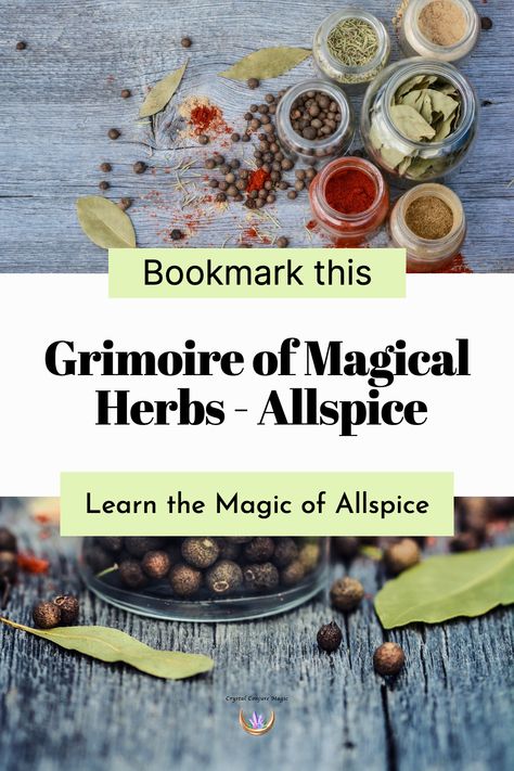 Allspice Magical Properties, Shower Magic, Alchemy Magic, Magic Ritual, Ritual Magic, Crystal Room, Magical Herbs, Love Oil, Physical Healing