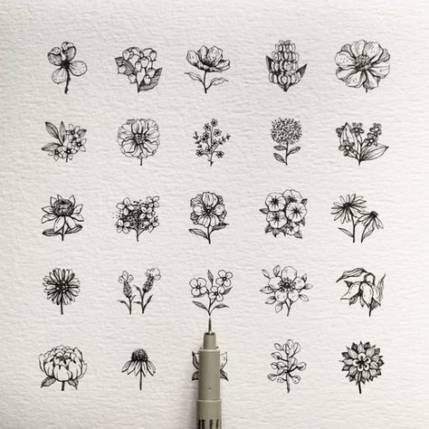 Alice (@alicelovesdrawing) • Instagram photos and videos Alice Loves Drawing, Micron Pen Art, Flowers Doodle, Bullet Art, Botanical Line Drawing, Micron Pen, Pen Art Drawings, Drawing Flowers, Unique Drawings