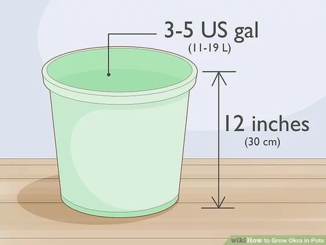 3 Ways to Grow Okra in Pots - wikiHow Planting Okra, Grow Okra, Okra Plant, Okra Seeds, Lower Your Cholesterol, Fiber Rich, Diatomaceous Earth, Healthy Easy, Gardening Gloves