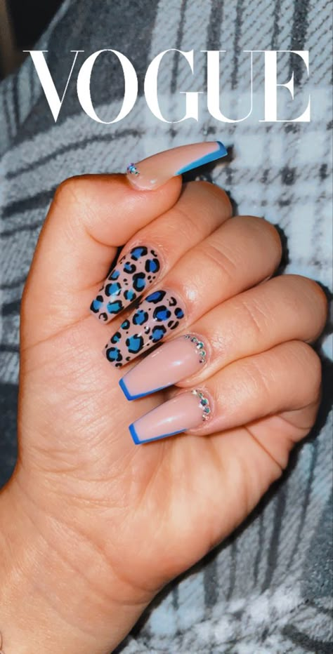 Royal Blue Leopard Nails, Royal Blue Cheetah Nails, Blue Nails Leopard, Blue Leapord Nails, Cheetah Nails Summer, Blue Cheetah Print Nails, Blue Leopard Print Nails, Blue Cheetah Nails, Blue Leopard Nails