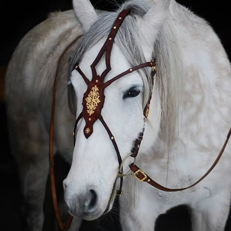 Medieval Horse Bridle, Horse Parade Costume, Medieval Horse Armor, Beautiful Horse Tack, Medieval Horse Tack, Fantasy Horse Tack, Medieval Horse, Horse Costumes, Horse Armor