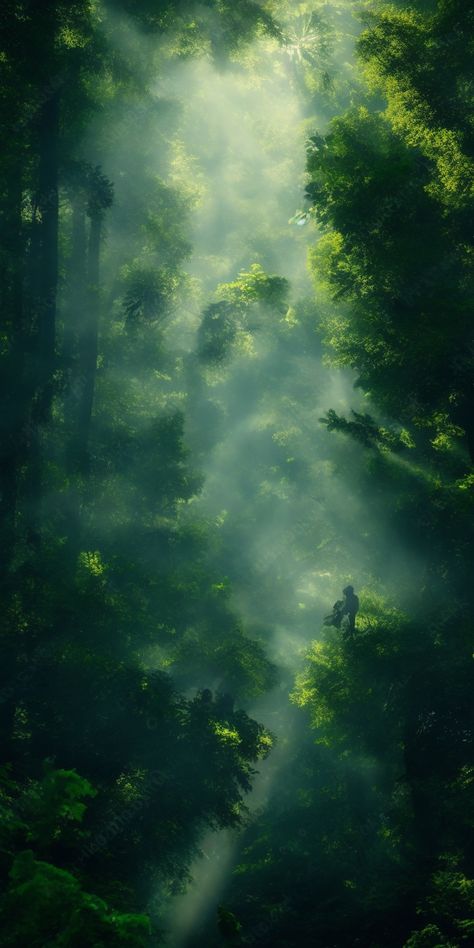 Foggy Landscape Photography, Forest Aesthetic Landscape, Aesthetic Iphone Wallpaper Green, Nature Concept Art, Green Aesthetic Wallpaper Iphone, Lock Screen Wallpaper Disney, Green Forest Wallpaper, Forest Green Wallpaper, Ground Wallpaper