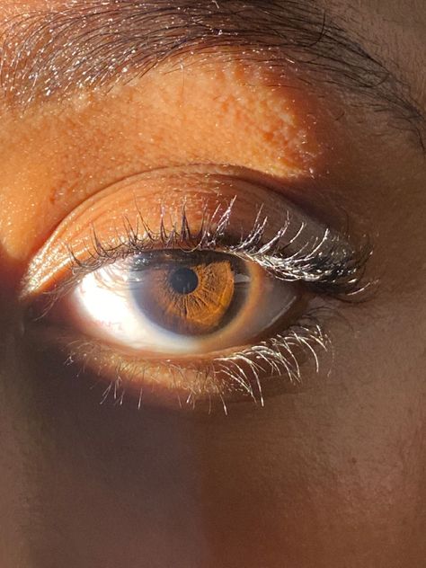 Dark Brown Eyes In Sunlight, Pretty Dark Brown Eyes, Pretty Eyes Brown, Bright Brown Eyes, Pics Of Eyes, Russet Brown Eyes, Dark Amber Eyes, Gold Brown Eyes, Brown Eyes In The Sun