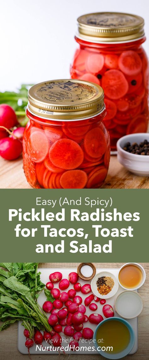 Pickled Radishes For Tacos, Pickled Radishes Mexican, Canning Radishes, Preserving Radishes, Freeze Radishes, Picked Radishes, Pickled Radish Recipe, Canning Shelf, Pickled Items