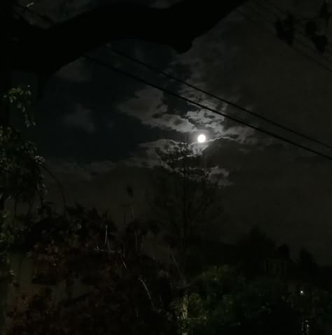 Dark Ocean, Dark Forest Aesthetic, In The Pale Moonlight, The Moon Is Beautiful, Look At The Moon, Sky Moon, Dark Paradise, Night Scenery, Dark Pictures