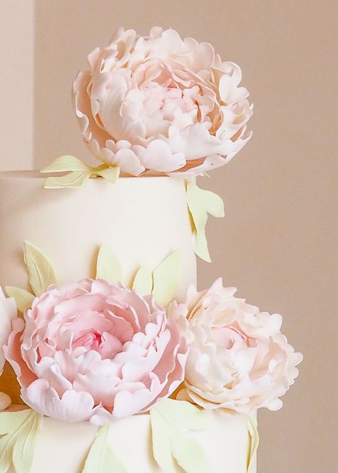 Soft Pink Peonies Wedding Cake by Rosalind Miller Cakes Wedding Cakes With Peonies, Peony Wedding Cake, Peony Cake Wedding, Peonies On Cake, White Wedding Cake Pink Flowers, Pastel Elegance Peony, Lotus Cake, Pink Peonies Wedding, Wedding Cake Peonies