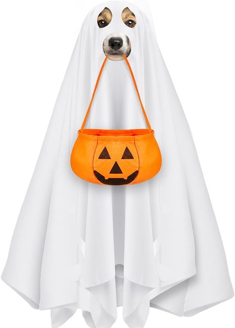 Amazon.com : Sadnyy Halloween Ghost Dog Costume Sets Includes White Dog Costumes and Halloween Bucket, Ghost Costumes for Dogs Cats and Felt Pumpkin Candy Buckets for Medium Large Dogs Trick or Treat Bags : Pet Supplies White Dog Costumes, Dog Ghost Costume, Dog Lion Mane, Costumes For Dogs, Candy Buckets, Ghost Halloween Costume, Felt Pumpkins, Halloween Buckets, Ghost Costume