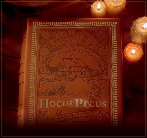 Hocus Pocus storybook from the beginning of the movie, 1993. Hocus Pocus Astethic, Hocus Pocus Widget, Halloween Book Aesthetic, Old Halloween Aesthetic, Hocus Pocus Aesthetic, Pantry Storage Solutions, Witchy Halloween Decor, Fall Sleepover, Fall Homescreen