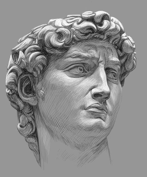 David Michelangelo Drawing, Realism Sketch, Michelangelo David, David Painting, David Michelangelo, Timelapse Video, A Level Art Sketchbook, Portrait Drawings, Sketch Portrait