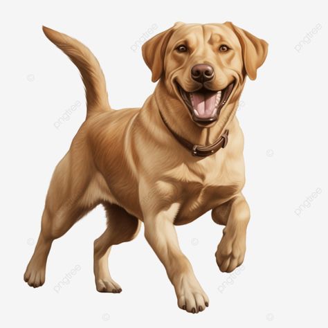 cheerful companion labrador retriever s happy tail wag in clip art dog clipart labrador retriever Dog Clip Art, Animal Png, Dog Clipart, Dog Cartoon, Happy Tails, Labrador Retriever Dog, Retriever Dog, Dog Art, Cartoon Animals