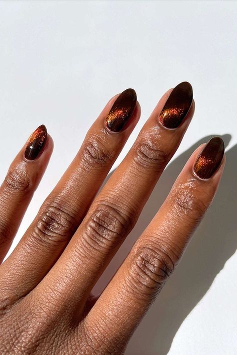 Brown Nail Polish, Brown Nail, 3d Nail Art Designs, Dark Red Nails, Velvet Nails, Magnetic Nails, Eye Of The Beholder, Jelly Nails, Dark Chocolate Brown