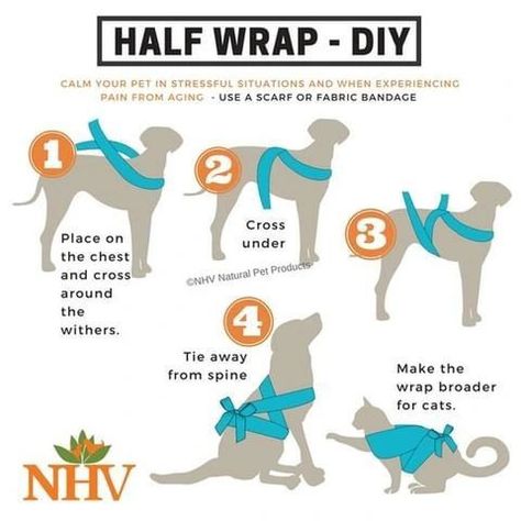 Does any of the following sound familiar…
 
1. Your dog doesn't listen to you
2. You need to train a new Puppy
3. Your dog barks uncontrollably
4. Your Dog is pulling on the leash
5. Your Dog is aggressive Pet Remedies, Dog Remedies, Dog Info, Dog Care Tips, Stressful Situations, Pet Hacks, Pet Training, Old Age, Diy Stuffed Animals