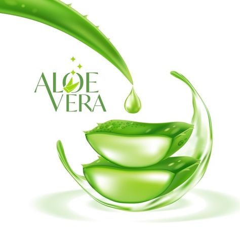 Aloe vera realistic plant skincare cosme... | Premium Vector #Freepik #vector #illustrations #aloe-vera #skin-care #realistic Aloe Vera Gel Packaging Design, Aloe Vera Logo Design, Alovera For Skin, Aloe Vera Illustration, Plant Skincare, Aloe Vera Image, Skin Care Design, Bun For Short Hair, Skin Care Logo