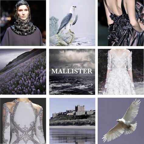 House Mallister, Brynden Tully, The Iron Islands, The Riverlands, House Tully, Iron Islands, Purple Field, Game Of Thrones Aesthetic, Game Of Thrones Outfits