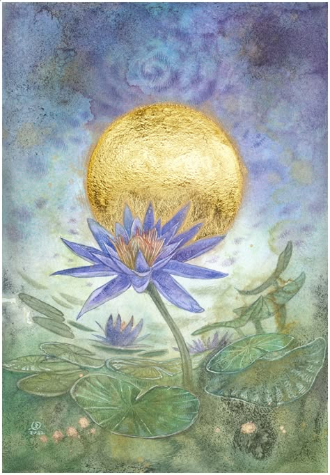 Stephanie Pui Mun Law, Lily Of The Nile, Law Art, Stephanie Law, Lotus Flower Pictures, Spiritual Science, Water Colour Art, Lotus Painting, Spiritual Paintings