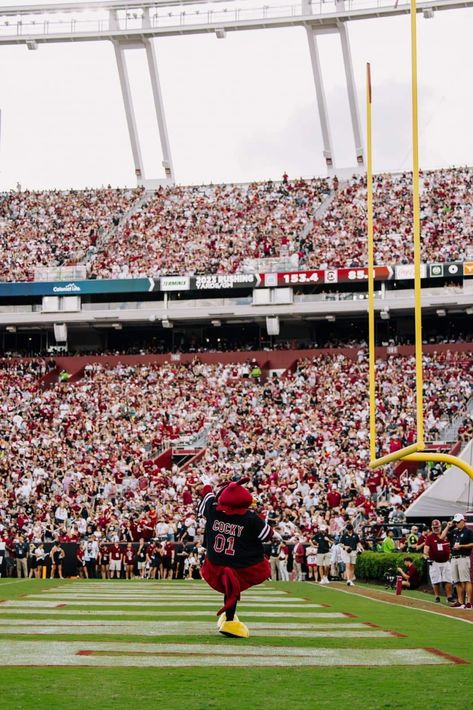 Gamecocks Wallpaper, Gamecock Football, South Carolina Gamecocks Football, Wallpaper Basketball, Gamecocks Football, Retro Games Poster, Go Gamecocks, Games Poster, Usc Gamecocks