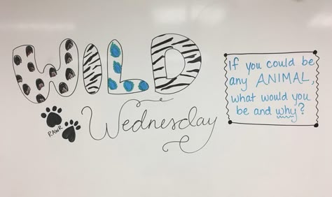 Wild Wednesday whiteboard journal prompt Wednesday Question Of The Day Classroom, Wednesday Question Of The Day, Wednesday Morning Meeting Questions, Wednesday Writing Prompts, Wednesday Morning Message Classroom, Wednesday Board Prompt, Wednesday Whiteboard Prompt, Wednesday Morning Meeting, Wednesday Morning Message