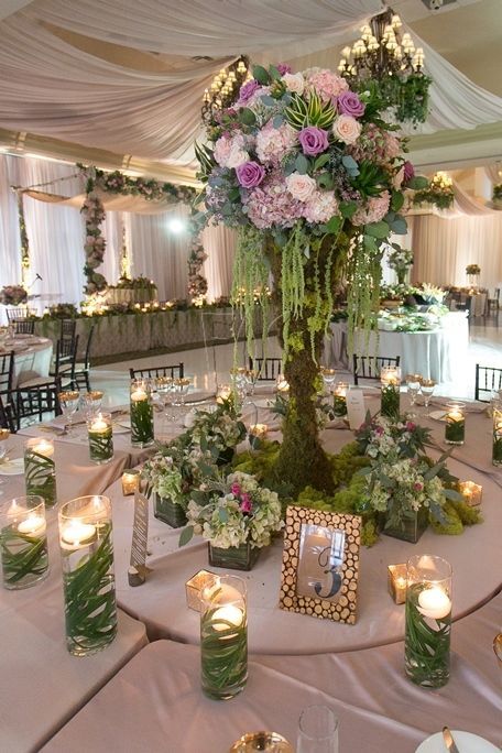 Log Moss and Woods for Wedding Centerpiece | 1000+ ideas about Secret Garden Theme on Pinterest | Garden Theme ... Lemon Centerpiece, Enchanted Forest Quinceanera Theme, Enchanted Forest Quinceanera, Green Quinceanera Theme, Enchanted Forest Prom, Enchanted Forest Decorations, Quince Themes, Enchanted Forest Party, Secret Garden Parties