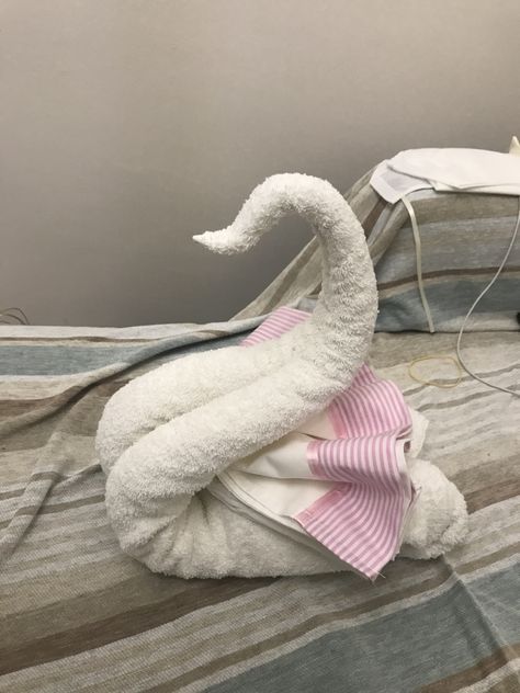 Towel Folding, Throw Blanket