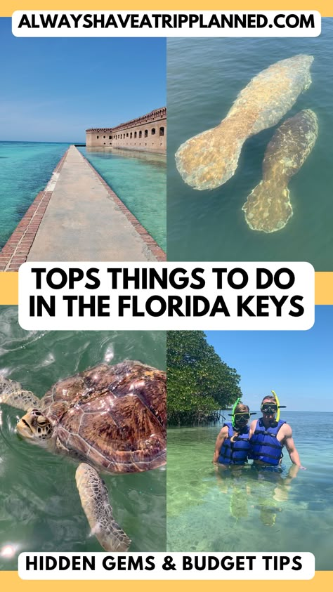 Key Biscayne Florida Things To Do, Florida Keys Itinerary, Living In The Florida Keys, Everglades National Park Miami, The Everglades Florida, Duck Key Florida, Florida Keys Fishing, Florida Keys Vacation, Dry Tortugas National Park Key West