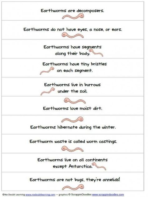 Worm Facts, Worms Preschool, Bugs Preschool, Spring Preschool, Kindergarten Science, Facts For Kids, Earthworms, Preschool Science, Homeschool Science