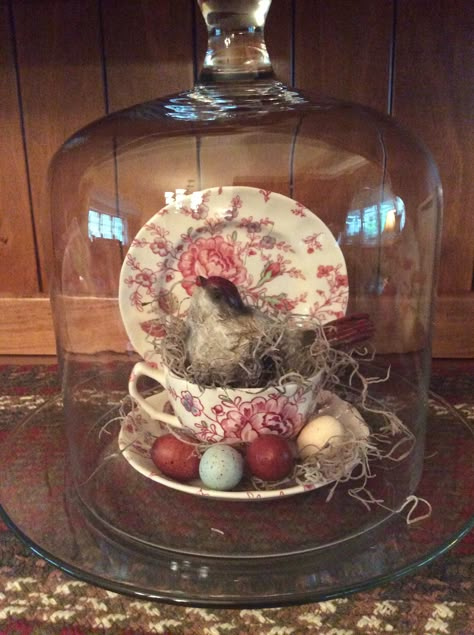 Uses For Apothecary Jars, Valentine Cloche Ideas, Decorating With Cloches Vignettes, Small Cloche Ideas, Spring Cloche Ideas, Cloches Decor Ideas, Easter Cloche Ideas, Glass Cloche Ideas, Cloche Decor Ideas