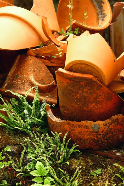 Teracotta Pots, Broken Pot Garden, Rustic Trellis, Orange Pottery, Terra Cotta Pots Garden, Terracotta Roof Tiles, Clay Pot Projects, Planter Garden, Terra Cotta Pot Crafts