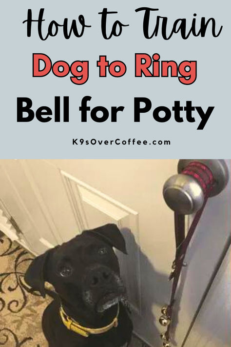 Black dog sitting next to dog bells for potty training that are hanging from a door. Dog Bells For Door Potty Training Diy, Bell Training Puppy, Dog Door Bell, Potty Bells, Crate Training Dog, Train Dog, Raw Dog Food, Dog Bell, Ring Bell