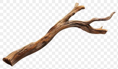 Branch Reference, Moana Party, Driftwood Branch, Wood Branch, What To Draw, Wood Texture, Moana, Free Png, Free Image