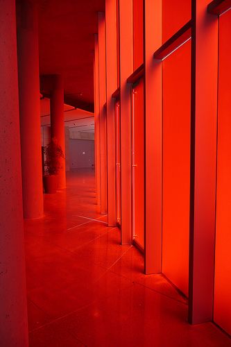 Red glow Red Porsche, Colors Of Fire, I See Red, Simply Red, Awesome Cars, Colorful Roses, Red Rooms, Red Walls, Red Interiors