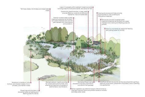 ARC Stormwater Management Guidelines | Boffa Miskell Stormwater Management Design, Icon Reference, Concept Diagrams, Retention Pond, Landscape Architecture Graphics, Storm Water, Stormwater Management, Apollo Bay, Landform