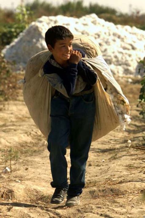 Profits made on the back of child labour: report Child Worker, Children Working, Tashkent Uzbekistan, Collective Bargaining, Child Labour, Cotton Fields, Trade Union, Kids Around The World, Forced Labor