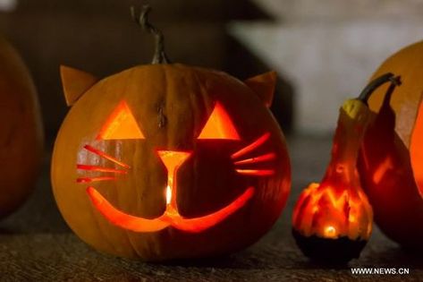 Pumpkin lanterns are displayed during the Halloween pumpkin lantern festival on the Heroes Square in Budapest, Hungary, October 27, 2012. Photo: Xinhua Julkransar Diy, Cat Pumpkin Carving, Pumpkin Lanterns, Cute Pumpkin Carving, Pumkin Carving, Halloween Pumpkin Carving Stencils, Creative Pumpkin Carving, Amazing Pumpkin Carving, Easy Pumpkin Carving