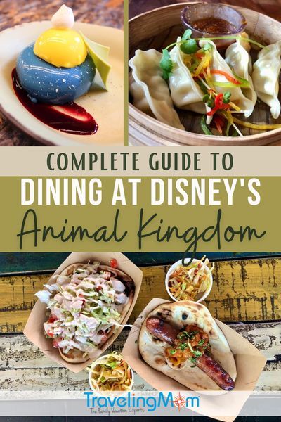 Disney's Animal Kingdom at Walt Disney World boasts some of the most unique and creative full service and quick service meals at any amusement park! African-themed dining and dishes that will please everyone with flavors that are far from the usual theme park fare. This complete guide to restaurants at Animal Kingdom will help you budget, walk you through advance dining reservations, ordering cocktails and suggests what to order at each location. (Photo credits: Tami Mittan & Melody Pittman) Animal Kingdom Snacks, Animal Kingdom Restaurants, Animal Kingdom Food, Animal Kingdom Dining, Disney World Travel, Disney World Restaurants, Disney World Food, Disneyland Tips, Disney Snacks