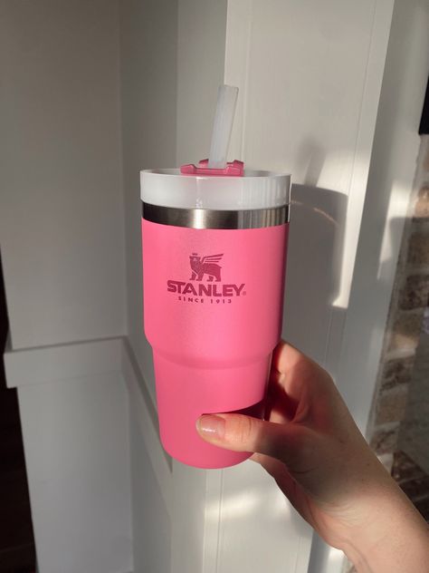 Mini Stanley Cup Pink, Mini Pink Stanley, Small Stanley Cup, Water Bottle Stanley, Stanley Cup Mini, Mini Stanley Cup, Mini Stanley, Stanley Adventure Quencher, Stanley Water Bottle