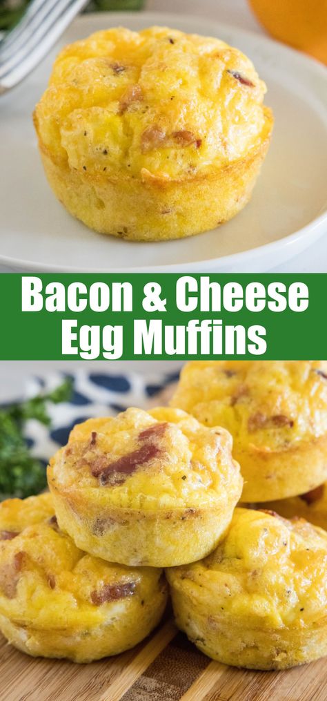 Bisquick Muffin Recipes Breakfast, Egg And Cheese Muffins Breakfast, Breakfast Ideas Egg Muffins, Homemade Egg Muffins, Egg Muffins With Bacon, Cheesy Egg Muffins, 3 Ingredient Recipes Breakfast, Bacon Cheese Egg Bites, Easy Cheese Muffins