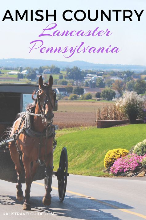 Amish Books Fiction, Amish Lifestyle, Pa Day, Lancaster Pennsylvania, Reading Pa, Country Lifestyle, Pennsylvania Dutch, Amish Country, Travel Collection