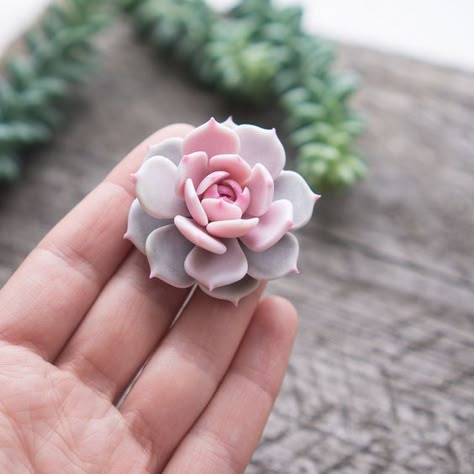 Clay Succulents Diy, Succulent Clay, Clay Succulents, Succulent Jewelry, Clay Flower Jewelry, Clay Moulding, Cold Porcelain Flowers, Polymer Clay Flower Jewelry, Succulents Decor