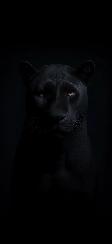 Wallpaper Iphone Black Panther, Black Panther Wallpaper Animal, Black Panther Photoshoot, Black Panthers Animal, Pantera Aesthetic, Black Jaguar Wallpaper, Black Lion Wallpaper, Black Leopard Wallpaper, Wallpaper Pantera