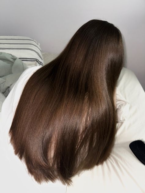 Brown Healthy Hair, Straight Brunette Hair, Brown Straight Hair, Thicker Healthier Hair, Long Shiny Hair, Long Brunette Hair, Brown Hair Inspo, Long Healthy Hair, Brunette Hair With Highlights