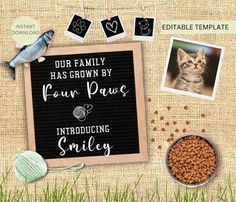 Pet Announcement, Getting A Kitten, Digital Announcement, New Kitten, New Family, Social Media Templates, Social Media Pages, Social Media Template, Text Messages