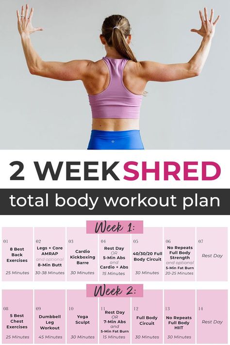 Download your FREE, 2-Week Workout plan today! You get access to 12 days of full-length videos on Youtube where CPT Lindsey will coach you through every sweaty rep of each workout! All you need is a set of dumbbells and 30 minutes a day! You got this! Weekly Body Weight Workout Plan, 3-2-8 Workout Method, Get In Shape In 2 Weeks, One Week Workout Challenge, Best Youtube Workouts At Home, 3 Week Workout Plan, 2 Week Shred, Workout Videos On Youtube, 2 Week Workout Plan