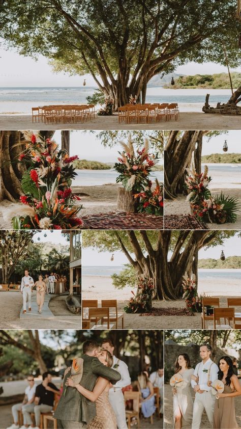 Boho Jungle Wedding, Costa Rica Wedding Colors, Costa Rica Wedding Decor, Costa Rica Wedding Bouquet, Costa Rica Wedding Invitations, Costa Rica Wedding Venues, Wedding In Costa Rica, Costa Rican Wedding, Costa Rica Micro Wedding