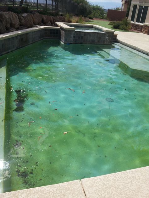 Poolwerx has always maintained that most swimming pool issues boil down to either water chemistry or filtration and circulation. A green pool is no different. Green Pool, Sand Glass, Diatomaceous Earth, Pool Water, Take Apart, Chemistry, Green Colors, Swimming Pools, How To Find Out